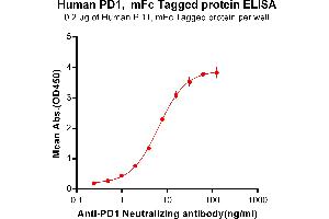 ELISA image for Programmed Cell Death 1 (PDCD1) (AA 24-170) protein (mFc-His Tag) (ABIN6961098)