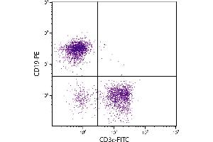 C57BL/6 mouse splenocytes were stained with Rat Anti-Mouse CD3ε-FITC. (CD3 epsilon 抗体  (Biotin))
