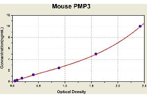 Diagramm of the ELISA kit to detect Mouse PMP3with the optical density on the x-axis and the concentration on the y-axis.