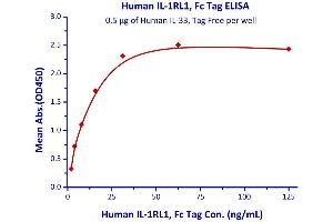 Binding Studies (Bind) image for Interleukin 1 Receptor-Like 1 (IL1RL1) (AA 19-323) (Active) protein (Fc Tag) (ABIN2181368)