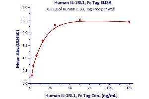 Immobilized Human IL-33, Tag Free  with a linear range of 1. (IL1RL1 Protein (AA 19-323) (Fc Tag))