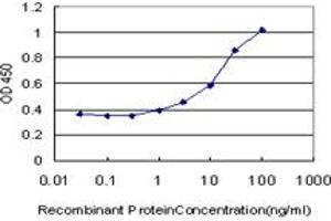 Detection limit for recombinant GST tagged SLC26A5 is approximately 1ng/ml as a capture antibody. (SLC26A5 抗体  (AA 645-742))