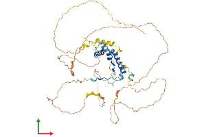 Protein Structure (PS) image for SRY (Sex Determining Region Y)-Box 8 (SOX8) (AA 1-464) protein (His tag) (ABIN7556889)