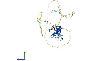 AlphaFold protein structure predicition of Human Recombinant UBXN10 Protein, UniprotID Q96LJ8