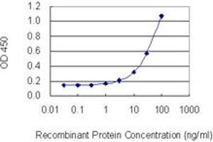 Detection limit for recombinant GST tagged DTNBP1 is 1 ng/ml as a capture antibody. (DTNBP1 抗体  (AA 1-100))