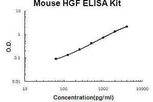 ELISA image for Hepatocyte Growth Factor (Hepapoietin A, Scatter Factor) (HGF) ELISA Kit (ABIN2859322)