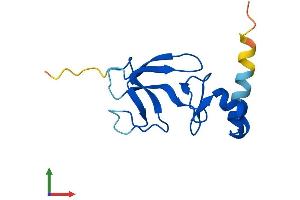 Protein Structure (PS) image for Cysteine-Rich, DPF Motif Domain Containing 1 (CDPF1) (AA 1-119) protein (His tag) (ABIN7559727)
