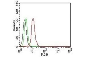 Flow Cytometry testing of Jurkat cells. (Cyclin D1 抗体)