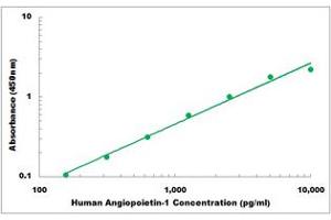 Representative Standard Curve (Angiopoietin 1 ELISA 试剂盒)