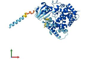 Protein Structure (PS) image for Cytochrome P450, Family 20, Subfamily A, Polypeptide 1 (CYP20A1) (AA 1-462) protein (His tag) (ABIN7558721)