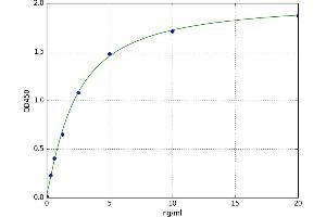 A typical standard curve (IGFBP2 ELISA 试剂盒)