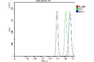 Flow Cytometry analysis of Hela cells using anti-BRDT antibody (ABIN7602468).