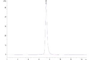 The purity of Cynomolgus OSMR is greater than 95 % as determined by SEC-HPLC.