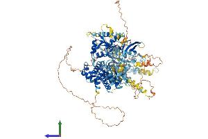 AlphaFold protein structure predicition of Mouse Recombinant Helb Protein, UniprotID Q6NVF4