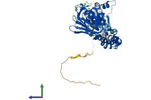 Protein Structure (PS) image for BTB (POZ) Domain Containing 1 (BTBD1) (AA 1-482) protein (His tag) (ABIN7552710)