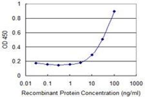 Detection limit for recombinant GST tagged COLEC10 is 3 ng/ml as a capture antibody. (COLEC10 抗体  (AA 121-229))