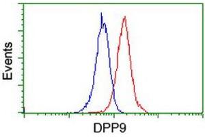Flow cytometric Analysis of Jurkat cells, using anti-DPP9 antibody (ABIN2455319), (Red), compared to a nonspecific negative control antibody, (Blue). (DPP9 抗体)