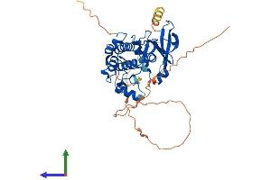 Protein Structure (PS) image for Aurora Kinase A (AURKA) (AA 1-395) protein (His tag) (ABIN7563554)