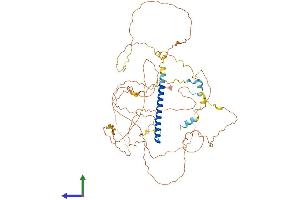 AlphaFold protein structure predicition of Mouse Recombinant Crtc3 Protein, UniprotID Q91X84 (CRTC3 Protein (AA 1-619) (His tag))