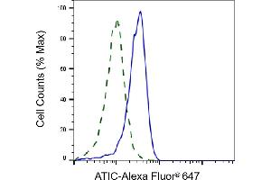Validation of ATIC knockdown using flow cytometry. (ATIC 抗体)
