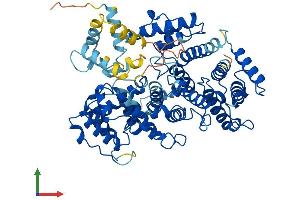 AlphaFold protein structure predicition of Mouse Recombinant Pls1 Protein, UniprotID Q3V0K9
