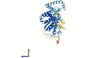 AlphaFold protein structure predicition of Human Recombinant PNPLA5 Protein, UniprotID Q7Z6Z6