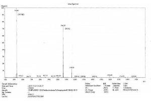 Image no. 1 for Cholecystokinin 8, Octapeptide (CCK8) protein (Ovalbumin) (ABIN1880246) (CCK8 Protein (Ovalbumin))