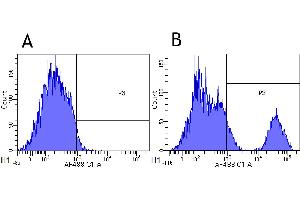 Flow-cytometry using the anti-CD20 research biosimilar antibody Rituximab   Cynomolgus monkey lymphocytes were stained with an isotype control (panel A) or the rabbit-chimeric version of Rituximab (panel B) at a concentration of 1 µg/ml for 30 mins at RT.