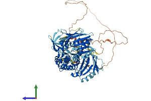Protein Structure (PS) image for Biotin-Protein Ligase (HLCS) (AA 1-722) protein (His tag) (ABIN7560181)