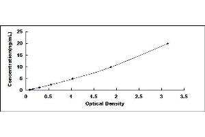 Typical standard curve (Annexin VIII ELISA 试剂盒)