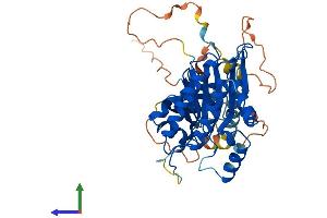 Protein Structure (PS) image for Inositol Hexakisphosphate Kinase 3 (IP6K3) (AA 1-410) protein (His tag) (ABIN7548583)