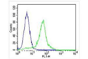 Overlay histogram showing Hela cells stained with (ABIN655895 and ABIN2845295) (green line).