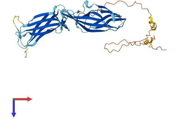 TXNIP Protein (AA 1-391) (His tag)