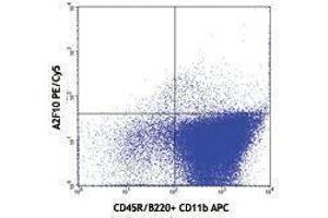 Flow Cytometry (FACS) image for anti-Fms-Related tyrosine Kinase 3 (FLT3) antibody (PE-Cy5) (ABIN2658916) (FLT3 抗体  (PE-Cy5))
