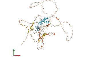 Protein Structure (PS) image for Kruppel-Like Factor 5 (Intestinal) (KLF5) (AA 1-457) protein (His tag) (ABIN7548718)