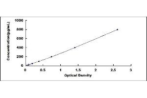 Typical standard curve (Klotho ELISA 试剂盒)