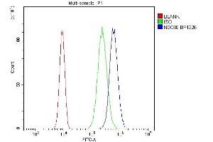 Flow Cytometry analysis of SiHa cells using anti-NDC80 antibody (ABIN7602585).