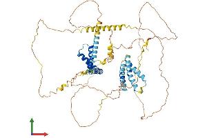 Protein Structure (PS) image for HMG Box Domain Containing 4 (HMGXB4) (AA 1-601) protein (His tag) (ABIN7548385)