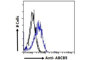 Flow cytometric analysis of paraformaldehyde fixed HepG2 cells (blue line), permeabilized with 0. (ABCB5 抗体  (Internal Region))