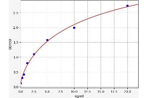 Tumor Necrosis Factor, alpha-Induced Protein 3 (TNFAIP3) ELISA Kit