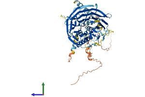 Protein Structure (PS) image for F-Box and WD Repeat Domain Containing 8 (FBXW8) (AA 1-598) protein (His tag) (ABIN7553898)