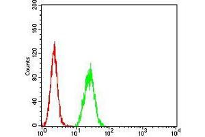 Flow cytometric analysis of Hela cells using CPV-VP2 mouse mAb (green) and negative control (red). (CPV-VP2 (AA 1-128) 抗体)