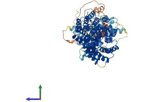 AlphaFold protein structure predicition of Human Recombinant TTC7B Protein, UniprotID Q86TV6