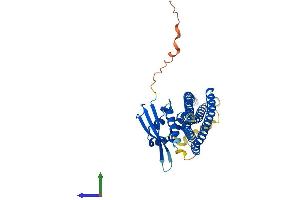 Protein Structure (PS) image for Sorting Nexin 7 (SNX7) (AA 1-387) protein (His tag) (ABIN7546378)