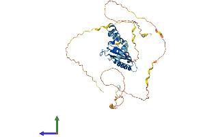 Protein Structure (PS) image for KH Domain Containing, RNA Binding, Signal Transduction Associated 1 (KHDRBS1) (AA 1-443) protein (His tag) (ABIN7563875)