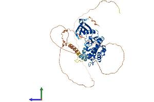 Protein Structure (PS) image for CaM Kinase-Like Vesicle-Associated (CAMKV) (AA 1-512) protein (His tag) (ABIN7557199)