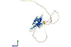 Protein Structure (PS) image for POU Domain, Class 4, Transcription Factor 3 (POU4F3) (AA 1-338) protein (His tag) (ABIN7557803)