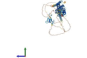 Protein Structure (PS) image for Spermatogenesis Associated 2 (SPATA2) (AA 1-520) protein (His tag) (ABIN7546154)
