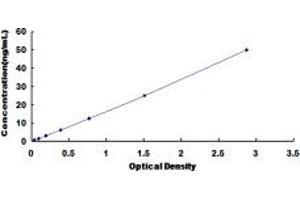 Typical standard curve (SLC16A3 ELISA 试剂盒)