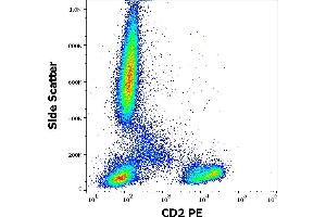 Flow cytometry surface staining pattern of human peripheral whole blood stained using anti-human CD2 (TS1/8) PE antibody (10 μL reagent / 100 μL of peripheral whole blood). (CD2 抗体  (PE))
